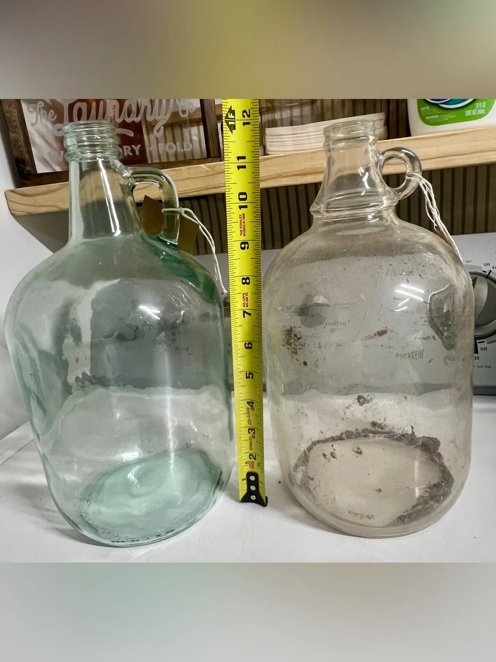 2 - One Gallon Glass Jug Vase - Light Green and Clear Decorative Carboys
